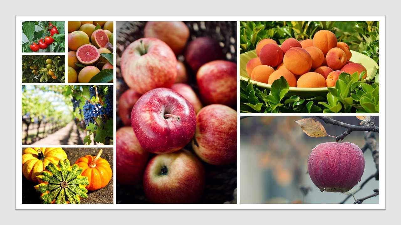 Settore agricolo e alimentare